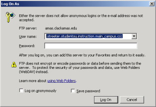 Username Field